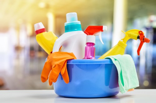 Professional cleaner in Fulham cleaning a modern living room