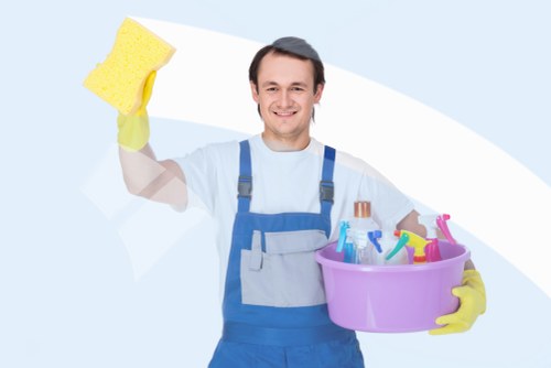 Professional cleaner working carefully in a residential property