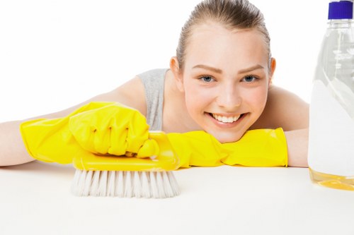Ongoing accessibility review for Fulham Cleaner services