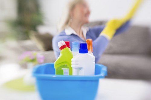 Fulham cleaning professional working on kitchen and bathroom hygiene