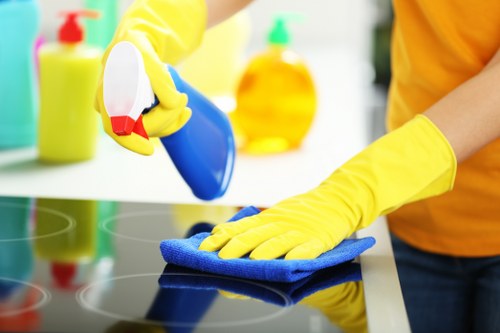 About Us Fulham Cleaner team supporting a spotless local property