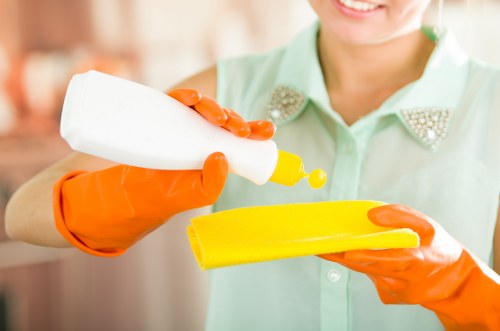 Supplier due diligence and audit process for Fulham Cleaner