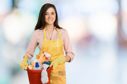 Deep cleaning and detailed room care