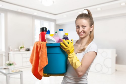 Safe cleaning of a Fulham property with product and equipment checks